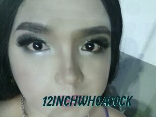 12INCHWHOACOCK