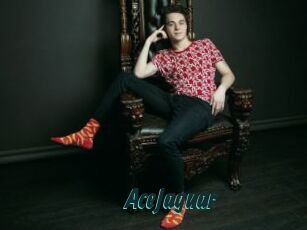 AceJaguar
