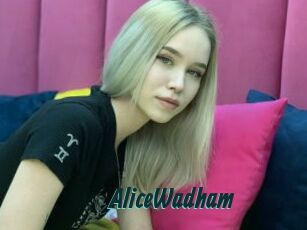AliceWadham Lucy Live