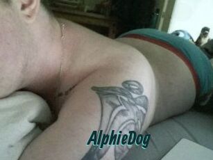 Alphie_Dog
