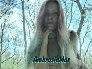 AmbrosiaMae