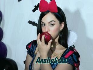 AnaliaSchet