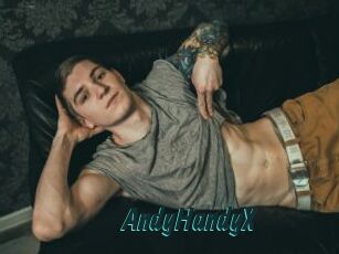 AndyHandyX
