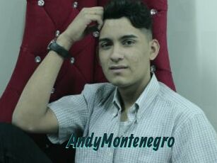 AndyMontenegro