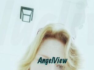 AngelView