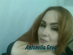 Antonella_Grey