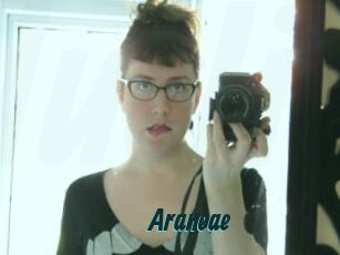 Araneae