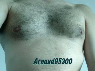 Arnaud95300