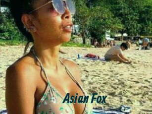 Asian_Fox
