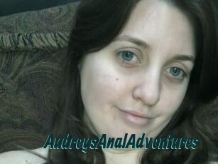 AudreysAnalAdventures