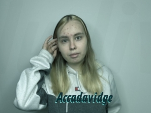 Accadavidge