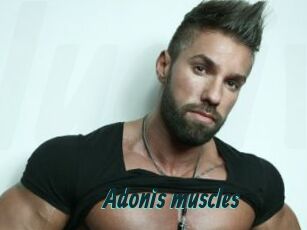 Adonis_muscles