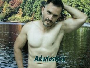 Adwinstark