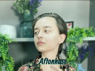 Aftonhase