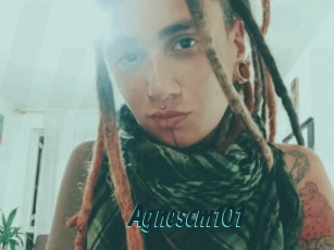 Agnescm101