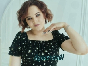 Agnesvendi