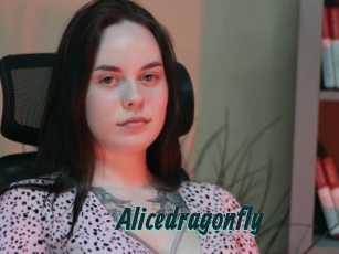 Alicedragonfly