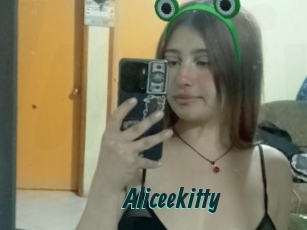 Aliceekitty