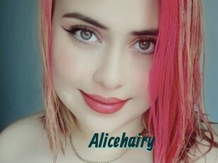Alicehairy