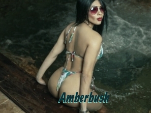 amberbush Lucy Live