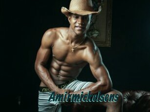 Amirmickelsens