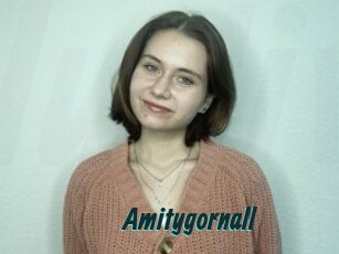 Amitygornall