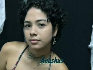 Anashus