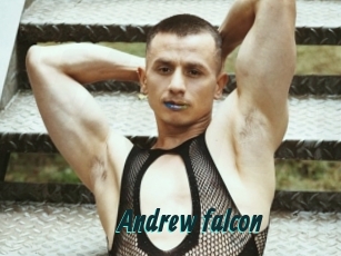 Andrew_falcon