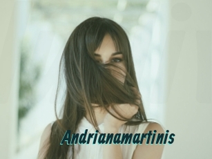 Andrianamartinis
