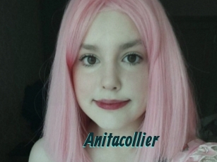 Anitacollier