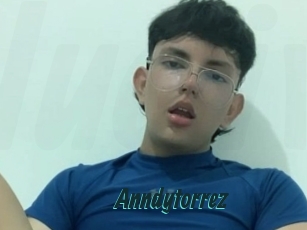 Anndytorrez