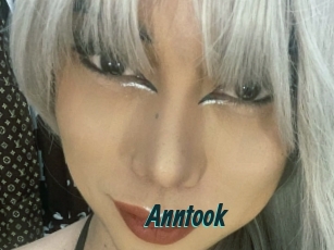 Anntook