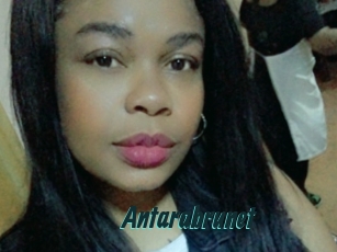 Antarabrunet