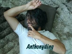 anthonyding Lucy Live