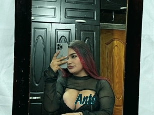 Anto