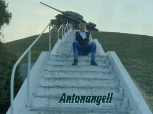 antonangell Lucy Live