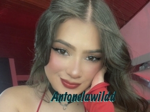 Antonelawildd