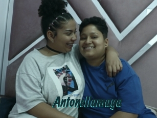 Antonellamaya