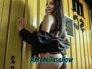 Antonellasallow