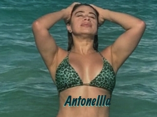 Antonellla
