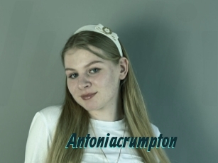 antoniacrumpton Lucy Live