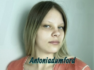 Antoniadumford