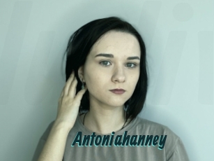Antoniahanney