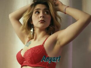 Anyart