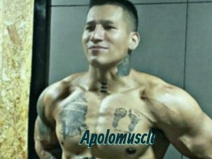 Apolomuscle