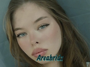Areabridz
