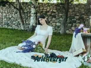 Arlettedryer
