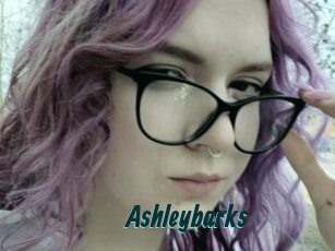 Ashleybarks