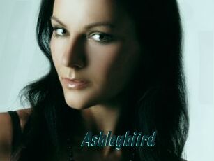 Ashleybiird