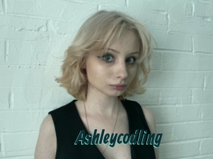 Ashleycodling